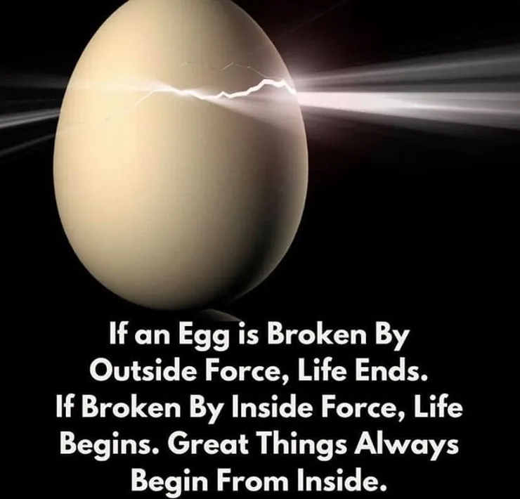 雞蛋從外打破，生命完結；雞蛋從內打破，生命開始。最好的東西往往從內而生。（圖片來自網絡）