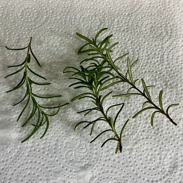 我用的是家裡種的迷迭香,剪下後簡單沖洗後務必要擦乾