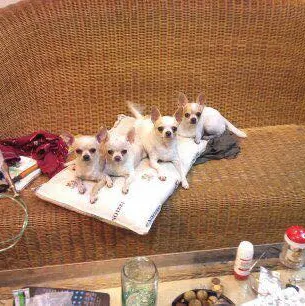 丁ay 和其他 102 人的沙龍