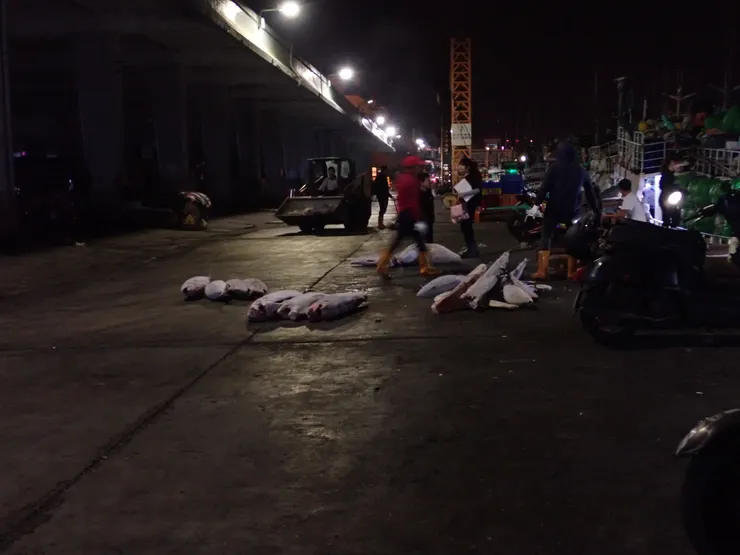 牠們被切去尾鰭、胸鰭、腹鰭和背鰭,像人豸般在地上翻滾;推土機的鏟斗將魚兒鏟起,轉移後分堆。(攝於生鮮魚市場)