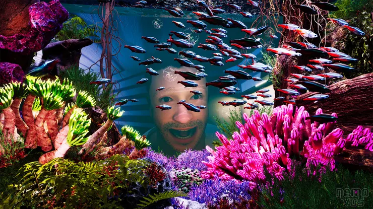 魚缸中的生物,脫離魚缸便不能活。(圖片來源:https://nemovos.com/korstmos/)