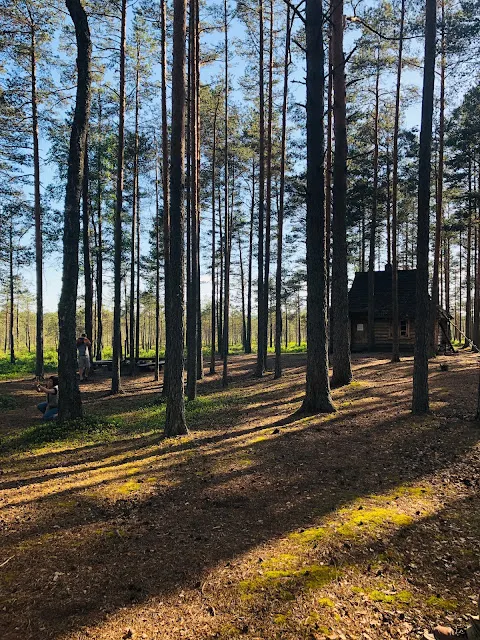 漂亮的森林小屋，也是一個臨時的避難所。