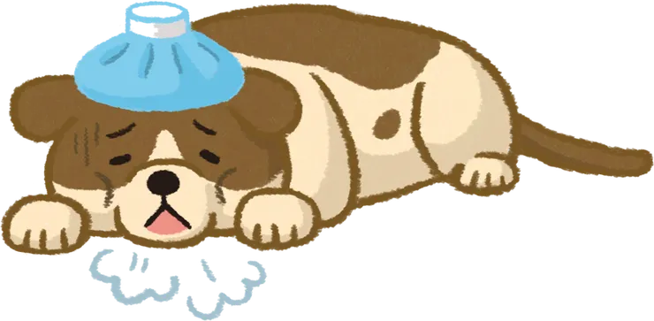 毛孩身體不適你發現端倪了嗎?