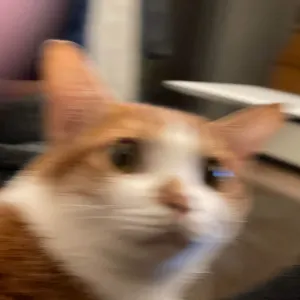 非比什麼都寫的沙龍