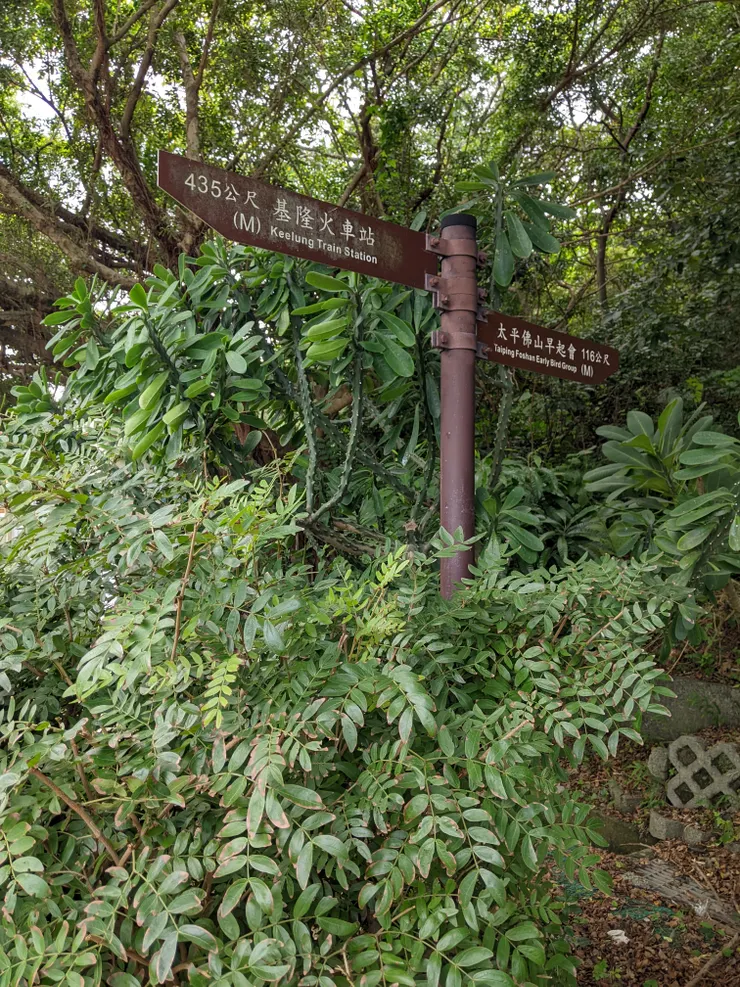 登山口有指標，後面就各憑本事