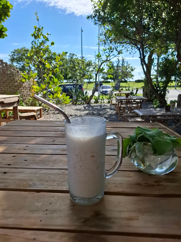 我撈起掉進香蕉牛奶的蒼蠅。阿翰說這是破壞因果循環，但那一刻，我救了牠，也救了我自己。