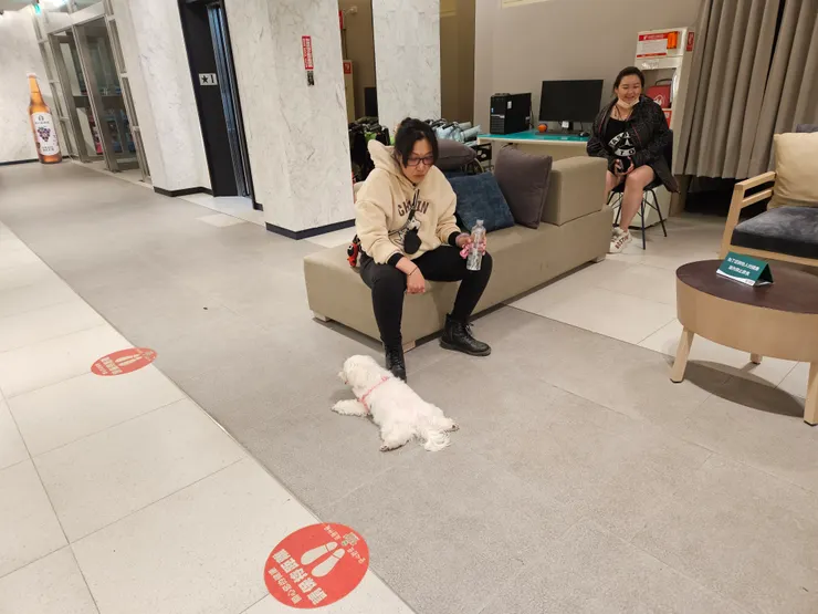累炸的人跟累死的狗