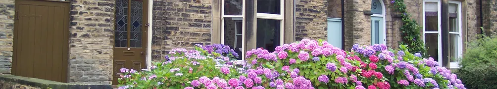 凱薩琳轉型相談室