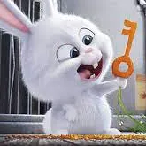 一個顗任的沙龍