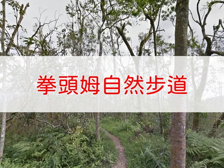 【宜蘭】拳頭姆自然步道 | 全長里程：1.8公里 | 難易度：低