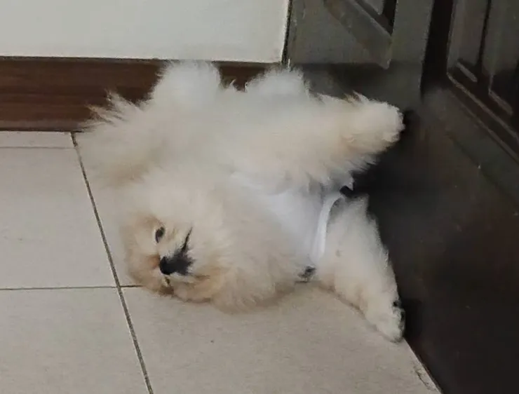 睡到起飛，貼在門上