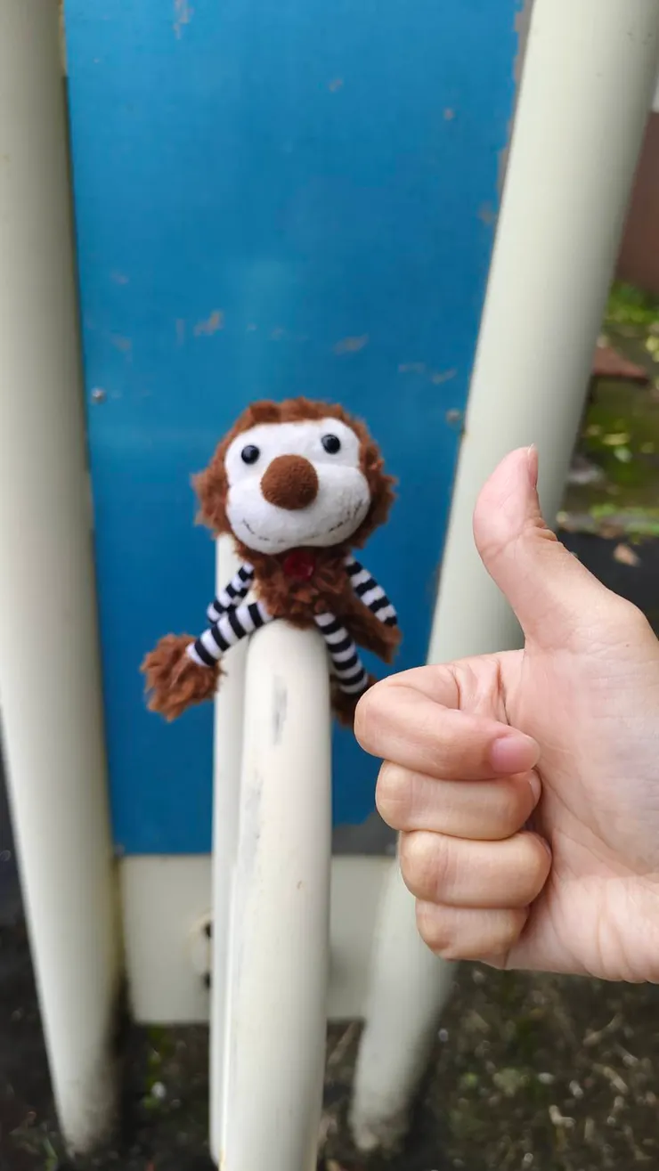 我的猴子娃娃跟讚的手語！