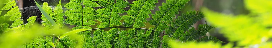 黃錦敦的敘事咖啡屋