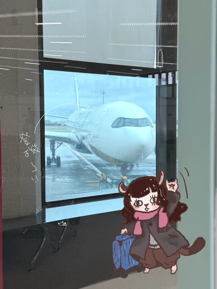 準備登機啦!這是今天要搭乘的飛機!(興奮語氣)