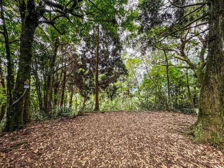 1358 抵逹 金平山南峰、牌子山/金平山 及 觀音洞 三叉路