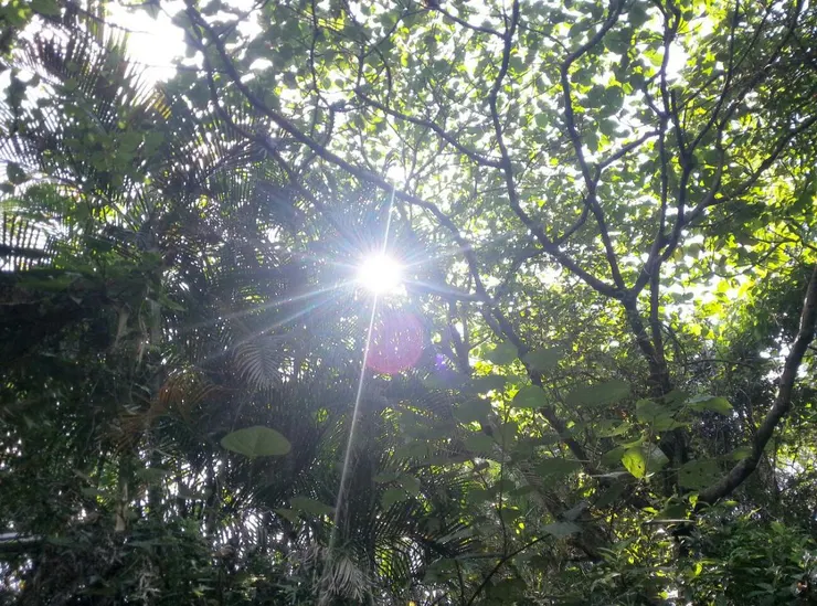 圖片來源：來自安奇珮奇的隨手拍