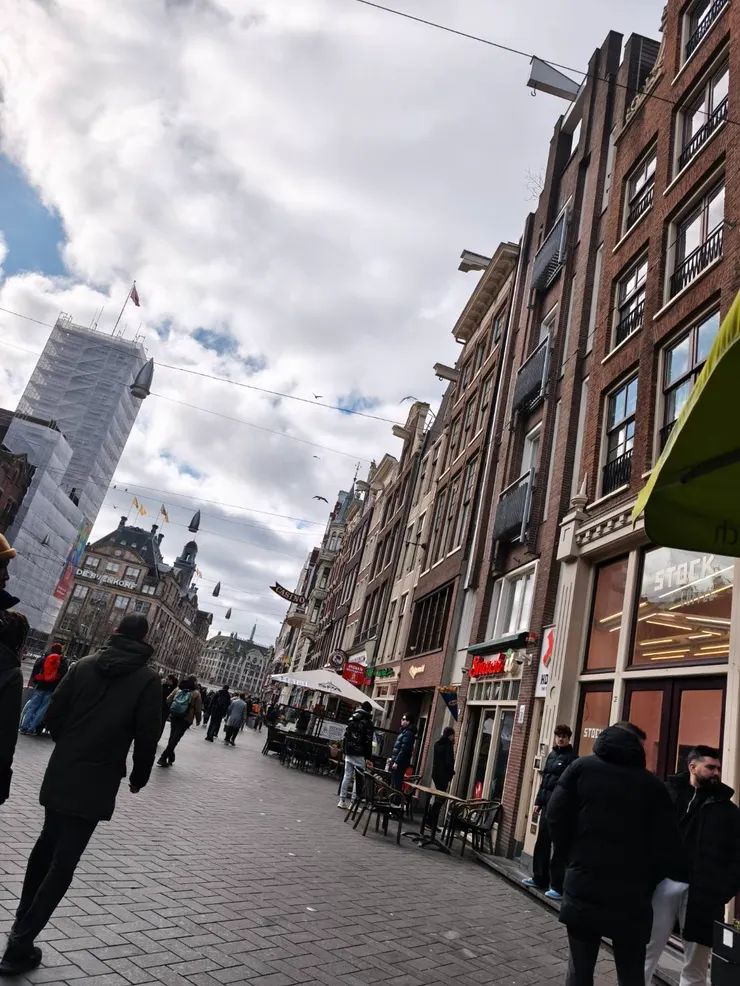 屋頂上都有掛勾