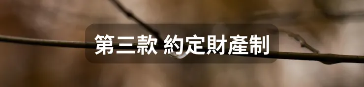 第三款 約定財產制