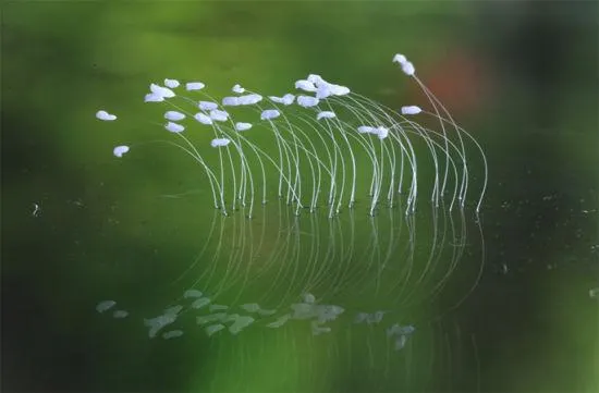 學霸的沙龍