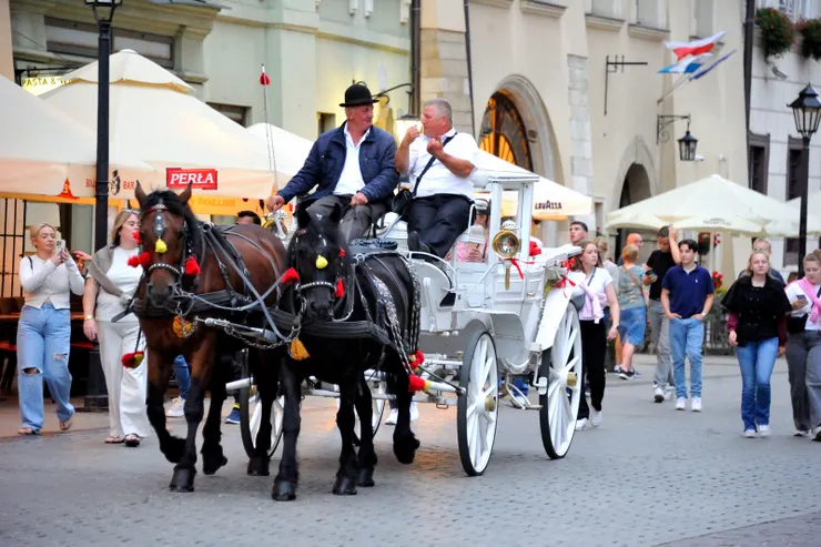 【馬車光鮮來往先須掩鼻再思浪漫！廣場週邊有不少華麗的觀光馬車，生意不惡，看上去雖然浪漫，但馬匹排泄物的味道可不好聞。】