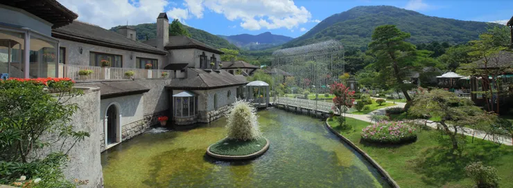 圖片來源：官網