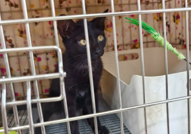 還在動物之家的錢錢（第一次見面）