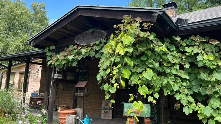 相當夢幻的建築。