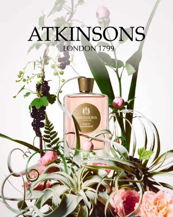 玫瑰仙境是帶有綠意的清新玫瑰