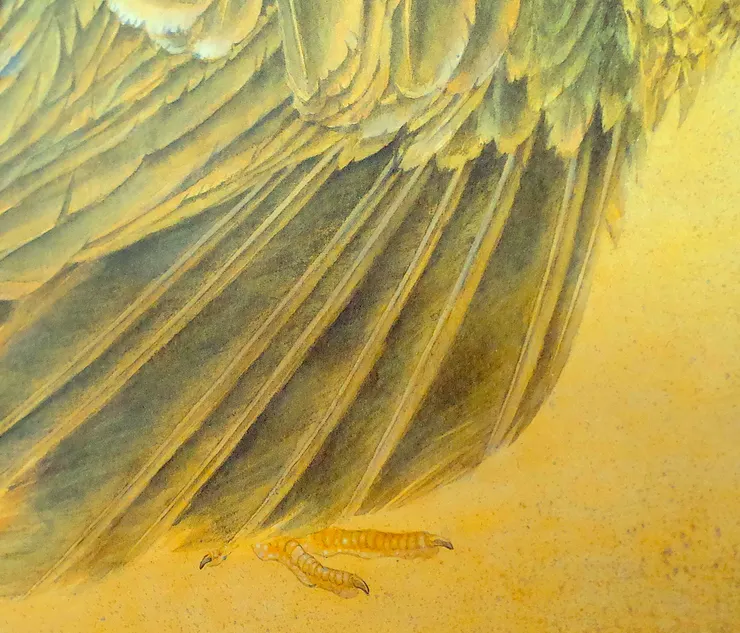 〈夏日閑庭〉局部－七面鳥