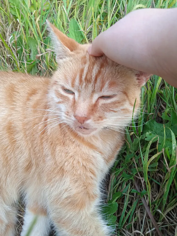 「咪咪眼才是最可愛」她是這樣說的,她超疼我!!!