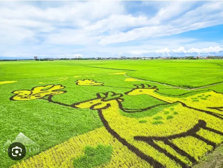 示意圖,如有侵權請告知立即刪除