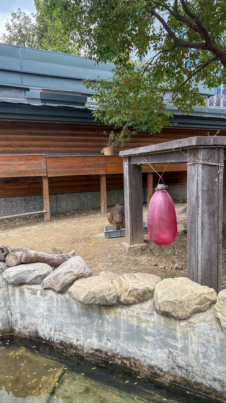 算是幫Xpark之旅完美收尾。