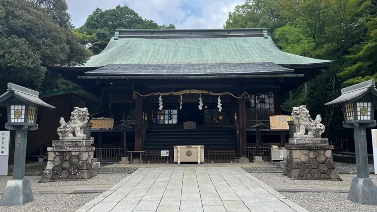 淡綠色系有種內斂感。