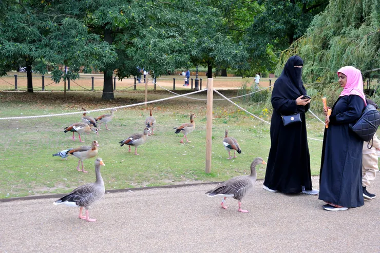 【明知幅員廣大且安於湖邊一角 端詳各色人等與動物和平相處】