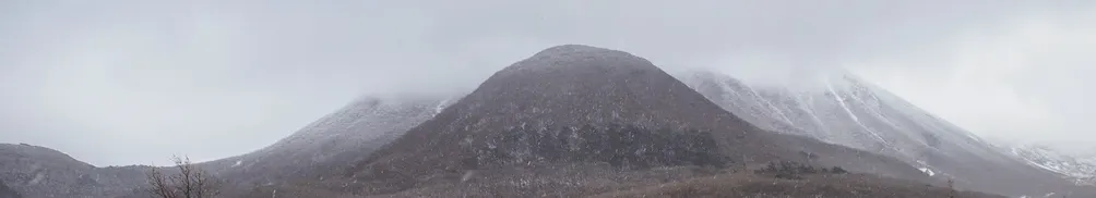 Julia Chang的沙龍