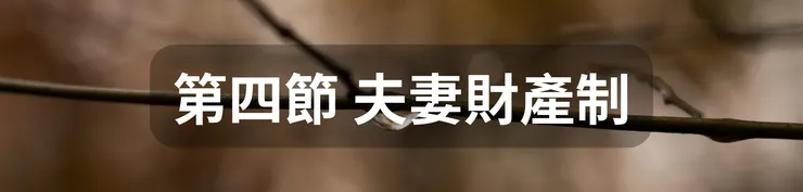 第四節 夫妻財產制