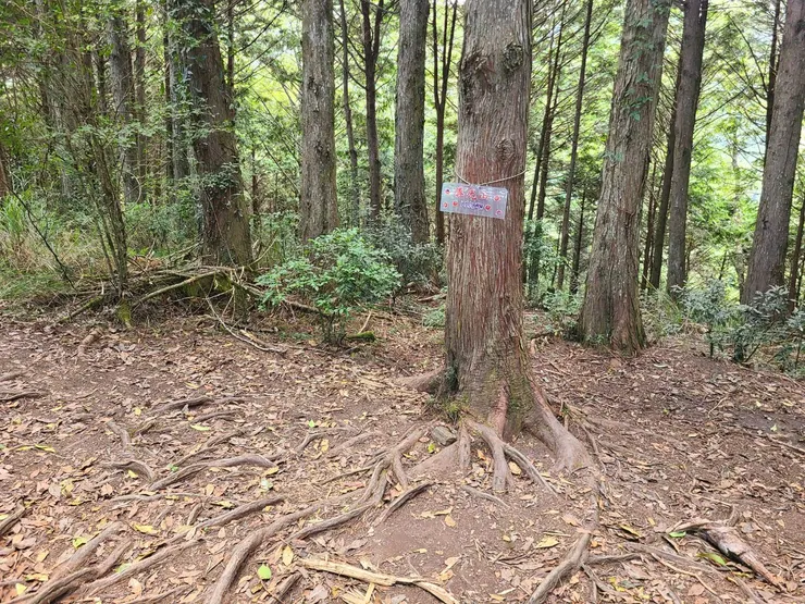 勝光山,沒什麼特別的