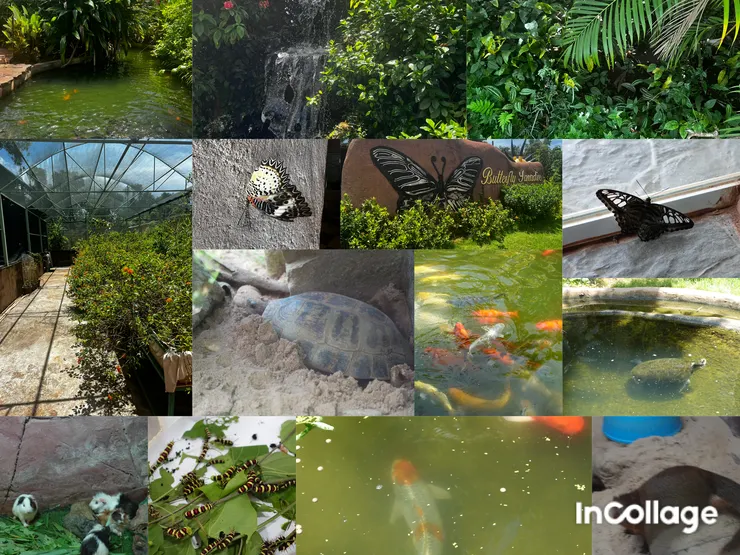 蝴蝶天堂好逛也好拍