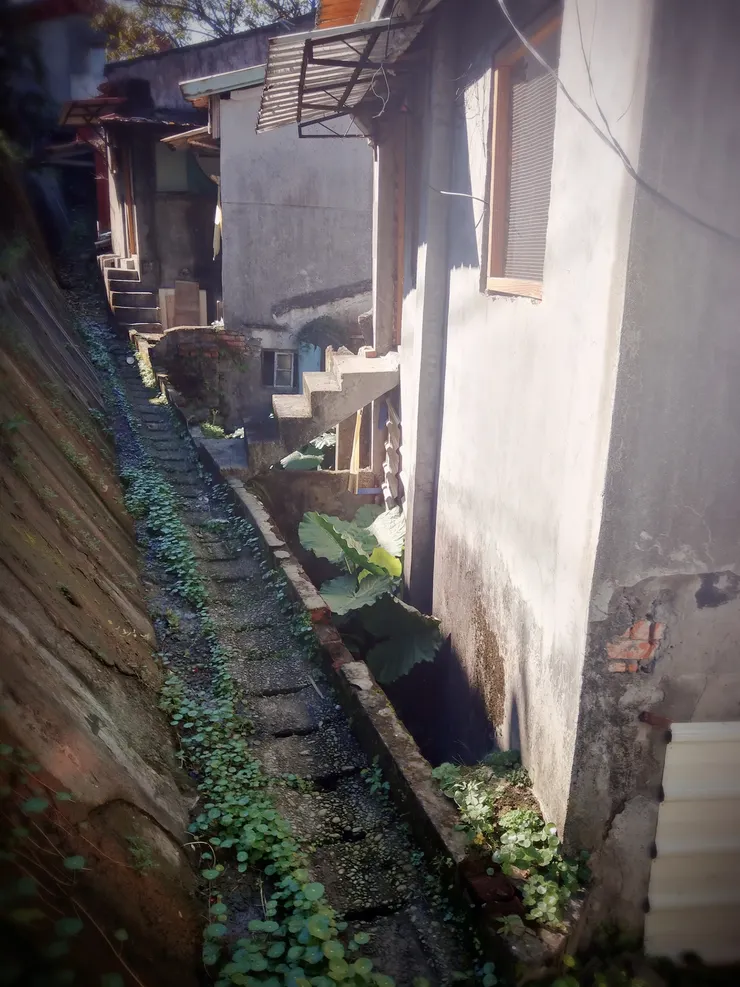 （拍攝日期：2018.12）