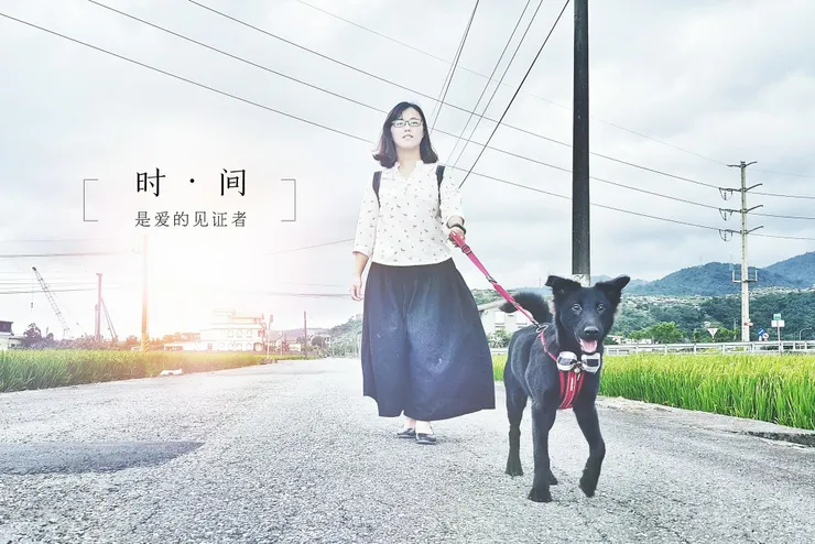 Harry，我們愛你（照片中的毛小孩Harry於今年二月九日因病往生）