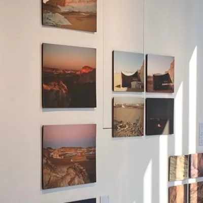 愛自己的狐狸的沙龍