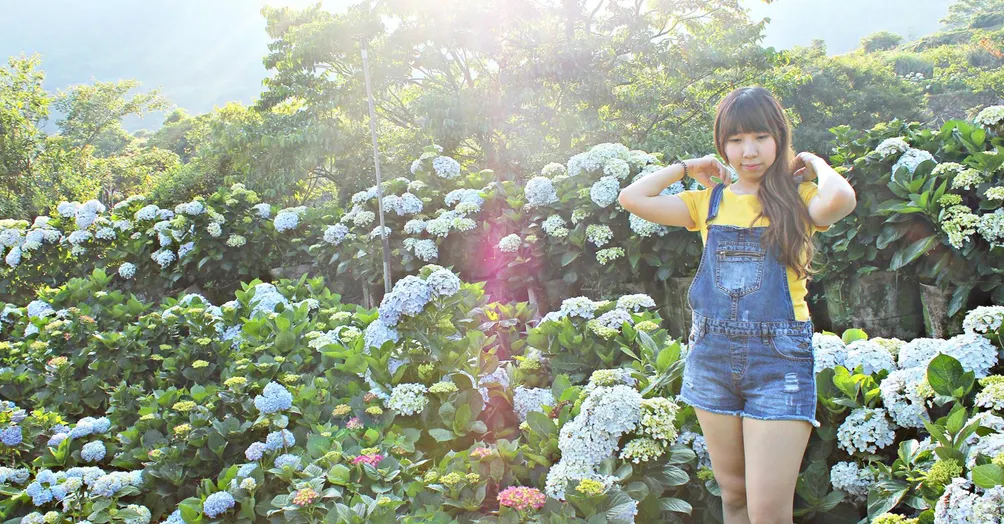 金亮亮吃喝玩樂趣的沙龍