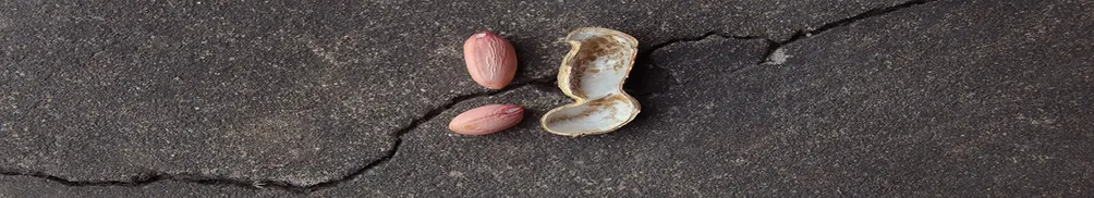 葉宇燦｜尋常生活之練習的沙龍