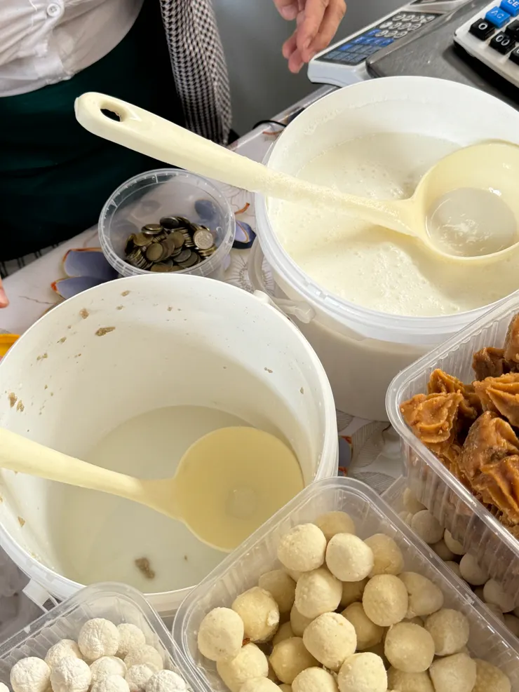 馬奶跟駱駝奶，也可以試喝！2種奶味道跟牛奶、羊奶都不一樣，味道比較腥，值得一試