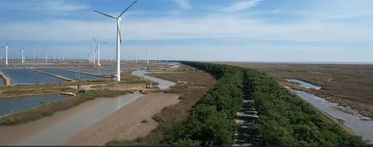 賽道之防風林路段空拍