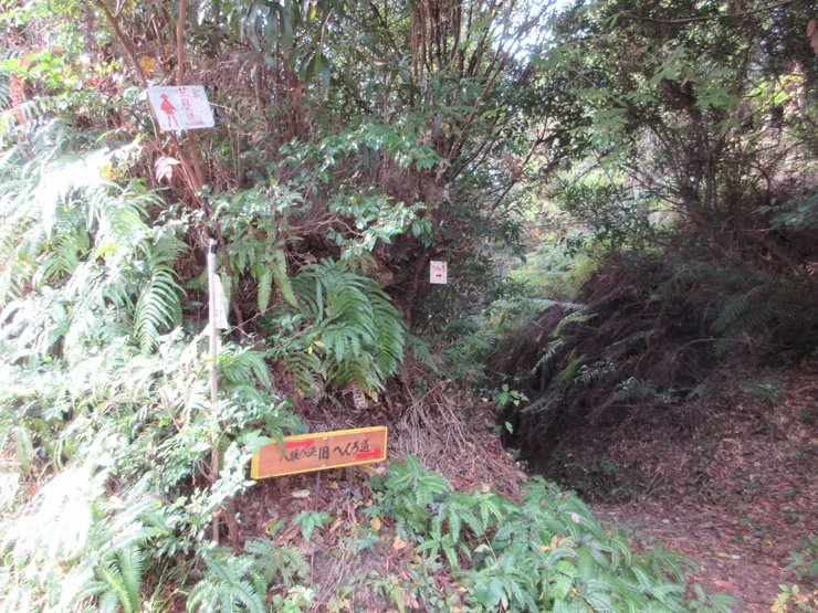 八坂八浜舊遍路道