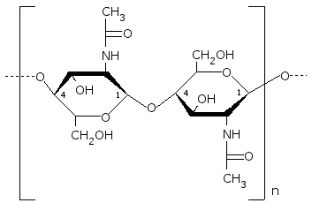 CC BY-SA 3.0,https://commons.wikimedia.org/w/index.php?curid=260156