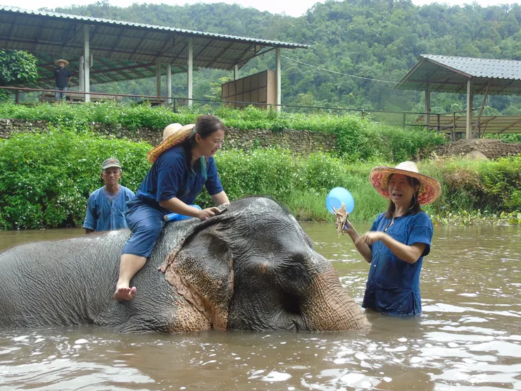 女王，快點認真洗呀！