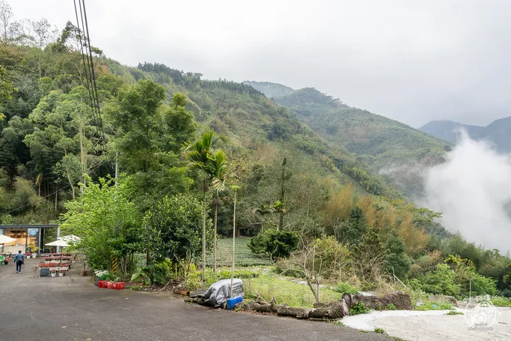 100%咖啡莊園,100咖啡莊園,100%咖啡,100%咖啡館,阿里山咖啡廳,瑞里咖啡廳,阿里山手沖咖啡,阿里山咖啡,阿里山咖啡豆,阿里山高山茶,阿里山咖啡館,阿里山,嘉義,瑞里,瑞里咖啡,瑞里咖啡館,瑞里景點,瑞里美食,阿里山美食,阿里山景點