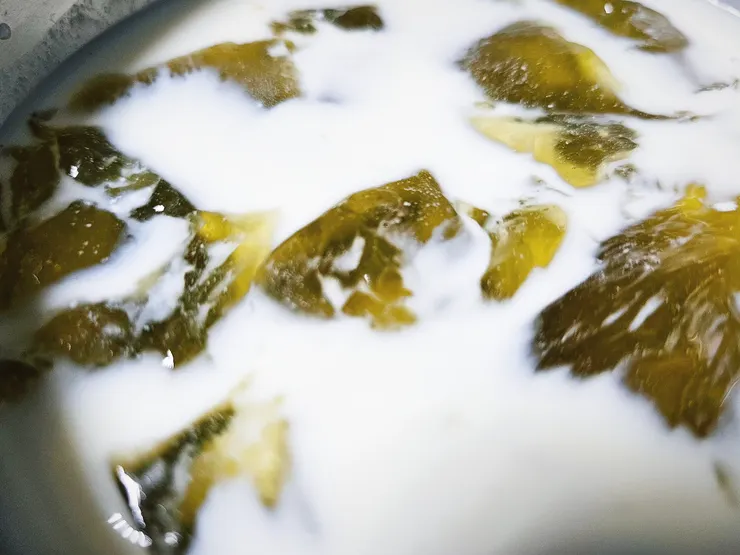 清爽美味！（但被朋友說：「我滑過去第一眼以為你po的是酸菜加椰奶，想說這組合會好吃嗎」😂😂😂）